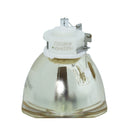 RICOH LTOB308933PUSH Ushio FP Lamps Bare