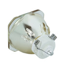 RICOH LTOB308933PUSH Ushio FP Lamps Bare