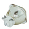 RICOH LTOB512893PUSH Ushio FP Lamps Bare
