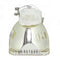 Panasonic LTOBETSLMP113PUSH Ushio FP Lamps Bare