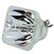 Ushio LTOBNSHA210CPUSH Ushio FP Lamps Bare