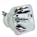 Ushio LTOBNSHA210CPUSH Ushio FP Lamps Bare