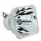 Ushio LTOBNSHA210CPUSH Ushio FP Lamps Bare