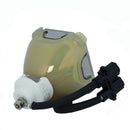 Ushio LTOBNSH160CPUSH Ushio FP Lamps Bare