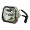 Hitachi LTOBDT00331PUSH Ushio FP Lamps Bare