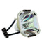 Ushio LTOBNSH250BPUSH Ushio FP Lamps Bare