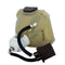 Ushio LTOBNSH250BPUSH Ushio FP Lamps Bare