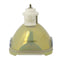 Ushio LTOBNSH275KPUSH Ushio FP Lamps Bare