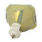 Ushio LTOBNSH275KPUSH Ushio FP Lamps Bare