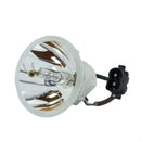 Toshiba LTOBTLPLW22PUSH Ushio FP Lamps Bare