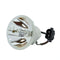 Toshiba LTOBTLPLW22PUSH Ushio FP Lamps Bare
