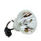 Toshiba LTOBTLPLW21PUSH Ushio FP Lamps Bare