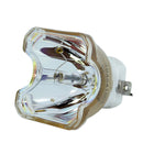 Hustem LTOBDT01051PUSH Ushio FP Lamps Bare