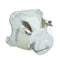 Ushio LTOBNSHA250JKPUSH Ushio FP Lamps Bare