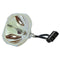 Ushio LTOBUMPRD150LUPUSH Ushio FP Lamps Bare