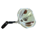 Ushio LTOBUMPRD150LUPUSH Ushio FP Lamps Bare