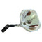 Ushio LTOBUMPRD150LUPUSH Ushio FP Lamps Bare