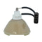 Ushio LTOBUMPRD200LUPUSH Ushio FP Lamps Bare