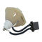 Ushio LTOBUMPRD200LUPUSH Ushio FP Lamps Bare
