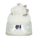 Nec LTOBNP23LPPUSH Ushio FP Lamps Bare