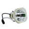 Ushio LTOBNSH275FPUSH Ushio FP Lamps Bare