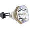 Epson LTOBELPLP63PUSH Ushio FP Lamps Bare