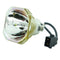 Ushio LTOBNSHA245BPUSH Ushio FP Lamps Bare