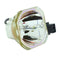 Ushio LTOBNSHA245BPUSH Ushio FP Lamps Bare