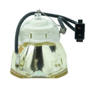 Ushio LTOBNSHA245BPUSH Ushio FP Lamps Bare