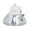 Ushio LTOBNSHA220ADPUSH Ushio FP Lamps Bare