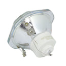 Ushio LTOBNSHA220ADPUSH Ushio FP Lamps Bare