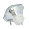 Ushio LTOBNSHA220ADPUSH Ushio FP Lamps Bare