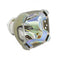 Mitsubishi LTOBVLTXL1LPPUSH Ushio FP Lamps Bare