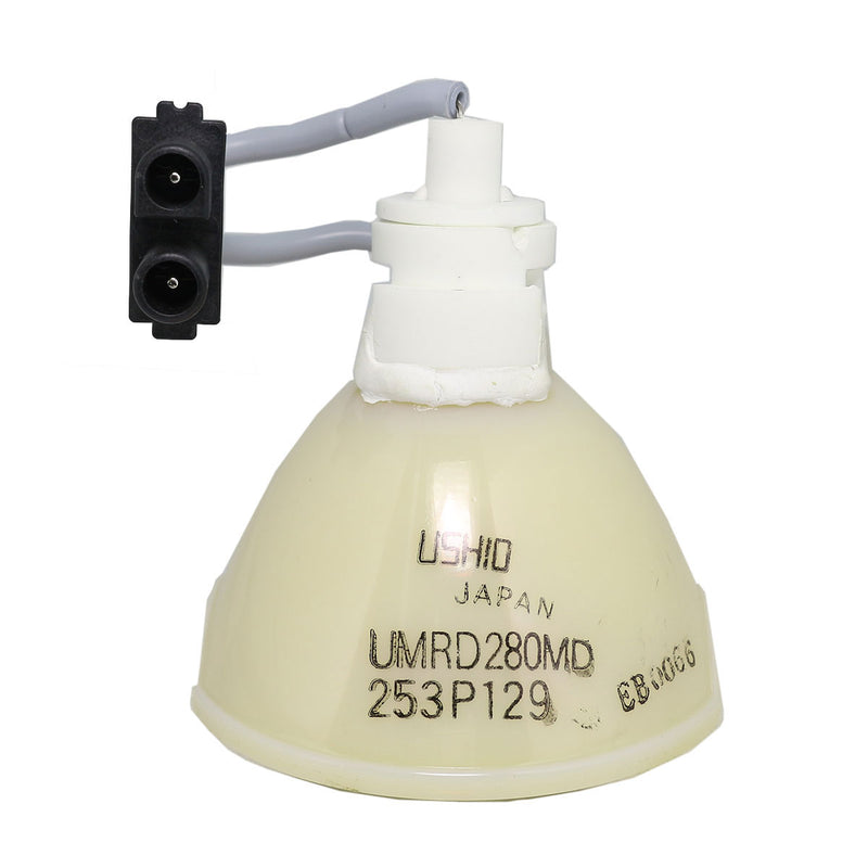 Mitsubishi LTOBVLTX100LPPUSH Ushio FP Lamps Bare