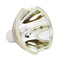 Ushio LTOBUMRD330MDCPUSH Ushio FP Lamps Bare