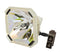 Sanyo LTOBPOALMP17PUSH Ushio FP Lamps Bare