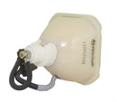 Sanyo LTOBPOALMP17PUSH Ushio FP Lamps Bare