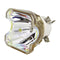 Ushio LTOBNSHA260APUSH Ushio FP Lamps Bare