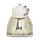 Ushio LTOBNSHA260APUSH Ushio FP Lamps Bare