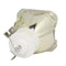 Ushio LTOBNSHA260APUSH Ushio FP Lamps Bare