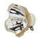 Ushio LTOBNSHA370SOPUSH Ushio FP Lamps Bare