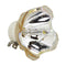 Ushio LTOBNSHA370SOPUSH Ushio FP Lamps Bare