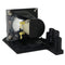 NEC UHPLT2NP10LP01 Philips FP Lamps with Housing