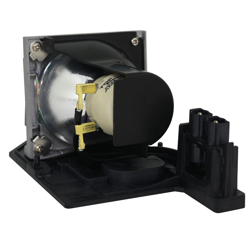 NEC UHPLT2NP10LP01 Philips FP Lamps with Housing