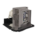 Mitsubishi LTOHVLTXD2000LPPUSH Ushio FP Lamps with Housing