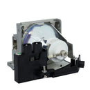 Mitsubishi LTOHVLTHC100LPPUSH Ushio FP Lamps with Housing