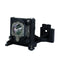 Mitsubishi LTOHVLTXD200LPPUSH Ushio FP Lamps with Housing