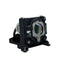 Mitsubishi LTOHVLTXD200LPPUSH Ushio FP Lamps with Housing