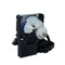 Mitsubishi LTOHVLTXD200LPPUSH Ushio FP Lamps with Housing