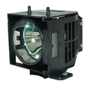 Epson UHPLT2ELPLP30 OEM FP Lamps with Housing